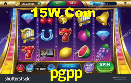 pgpp App Interface
